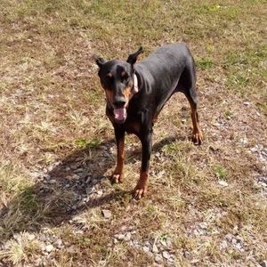 Meet your Posher, Cathy